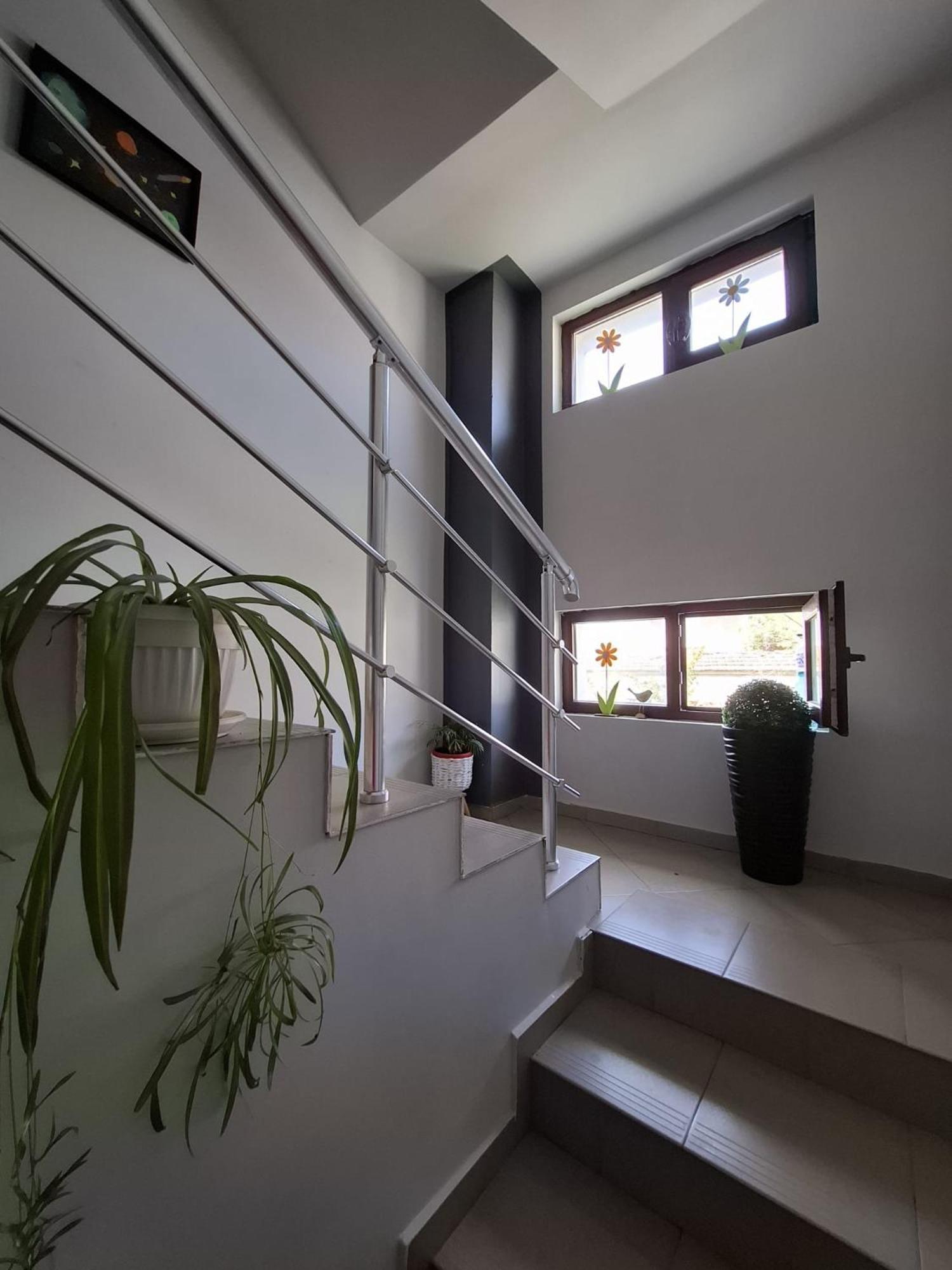 Guest Rooms Simona 2 Opanets Экстерьер фото